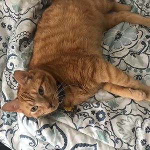 Meet your Posher, Breann